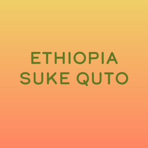 Ethiopia Suke Quto